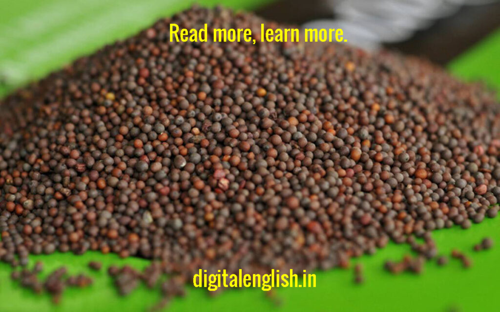 Extraction of mustard oil