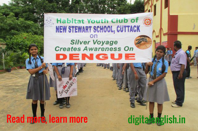 Dengue symptoms picture